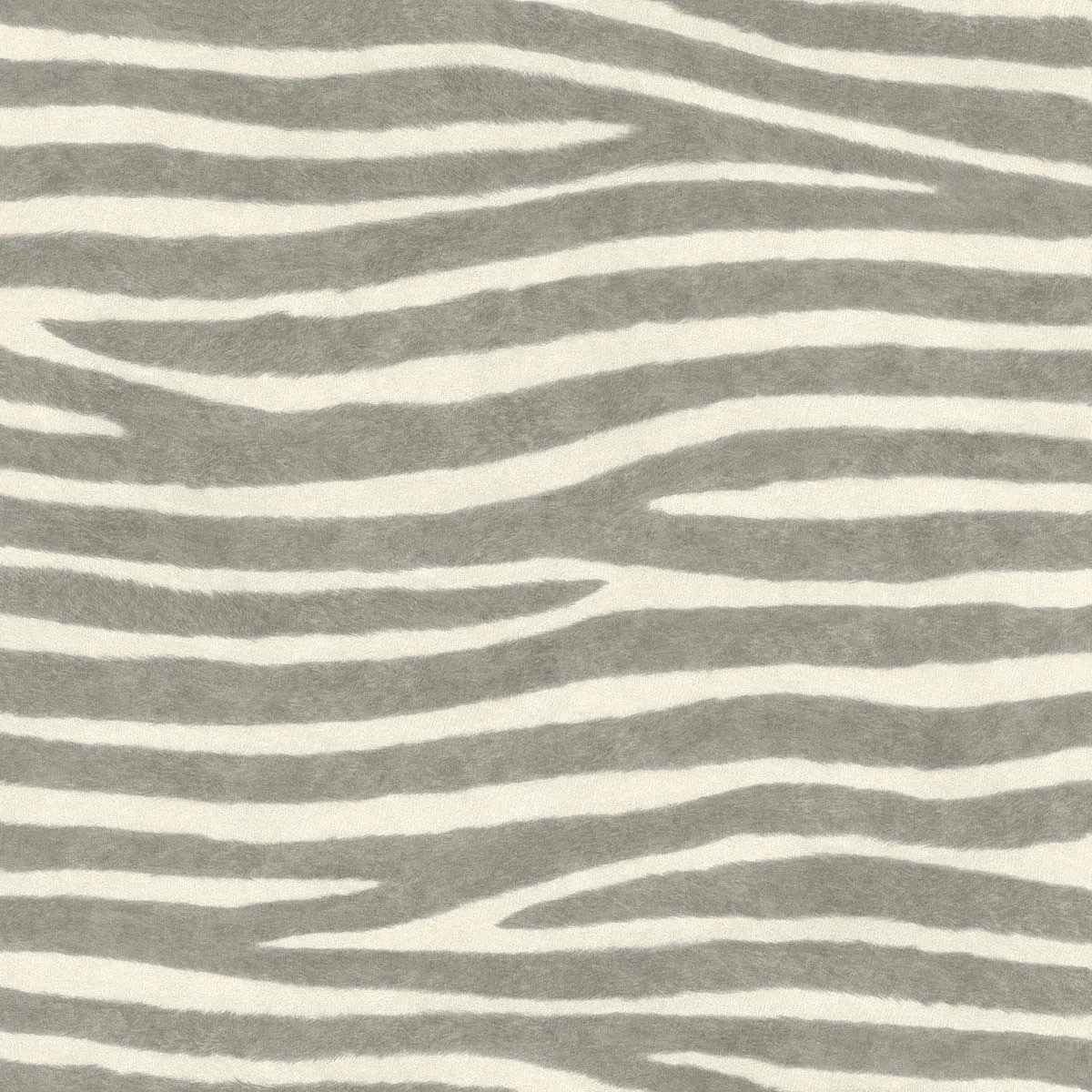 Carta da parati Safari Zebrato Grigio Bianco rotolo da 10,05 m x 53 cm