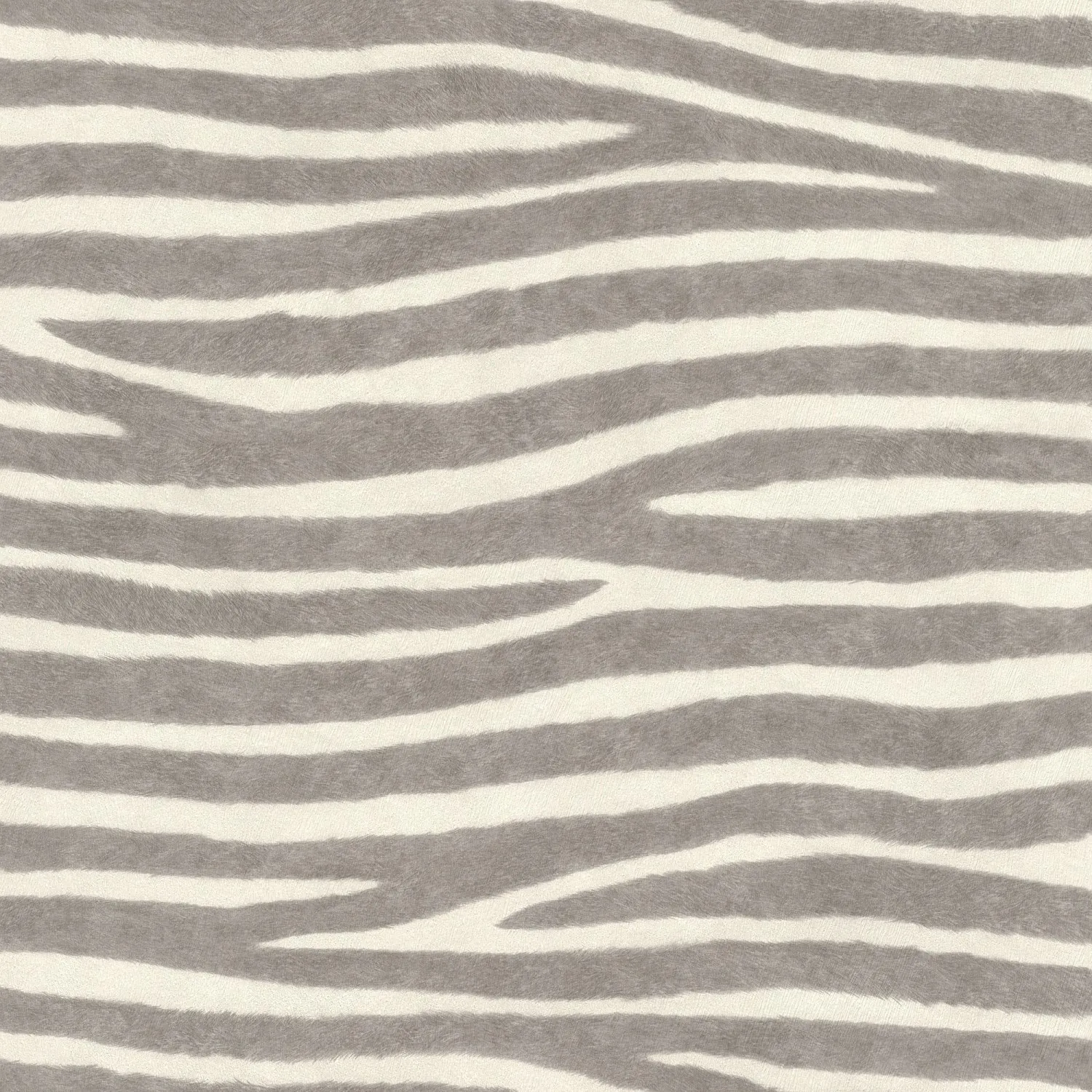 Carta da parati Safari Zebrato Grigio Bianco rotolo da 10,05 m x 53 cm