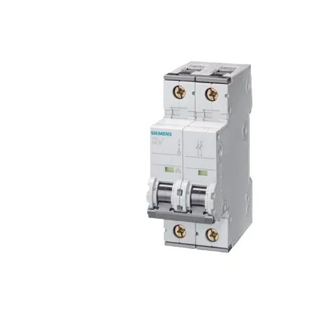 Interruttore magnetotermico Siemens, 2P 63A 6 kA, Tipo C