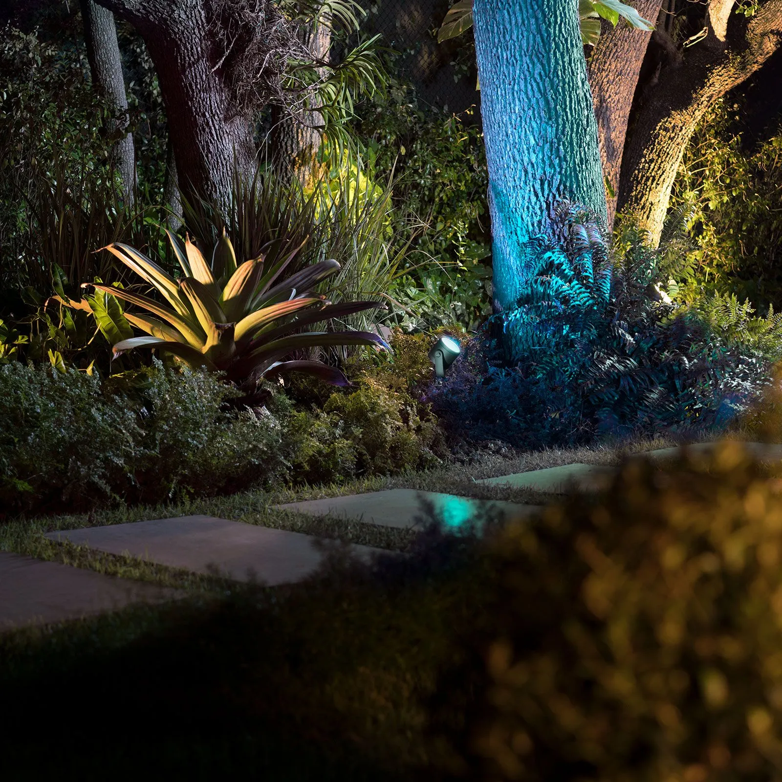 Philips Hue White+Colour Ambiance Lily XL, 24 V