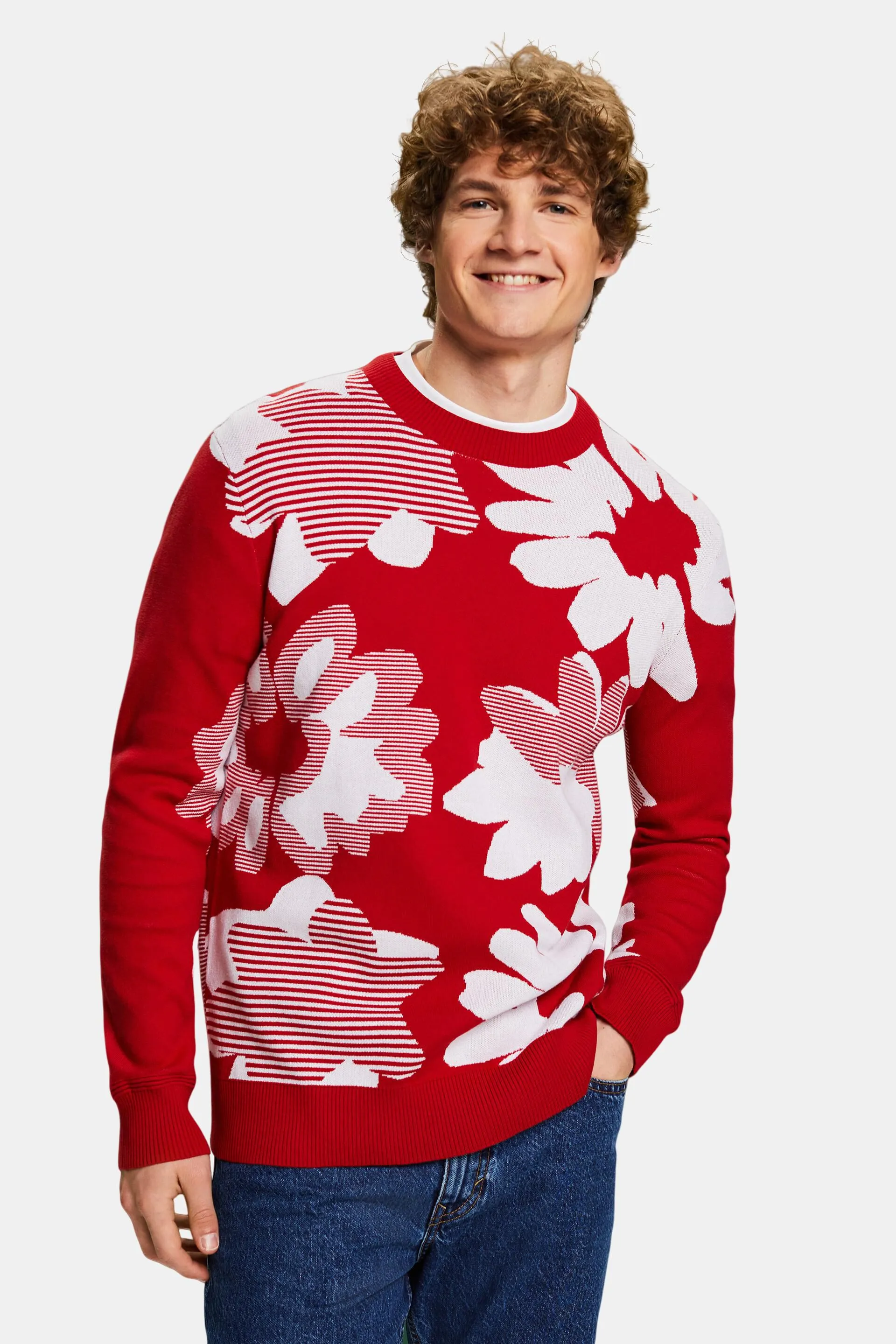 Pullover in cotone jacquard