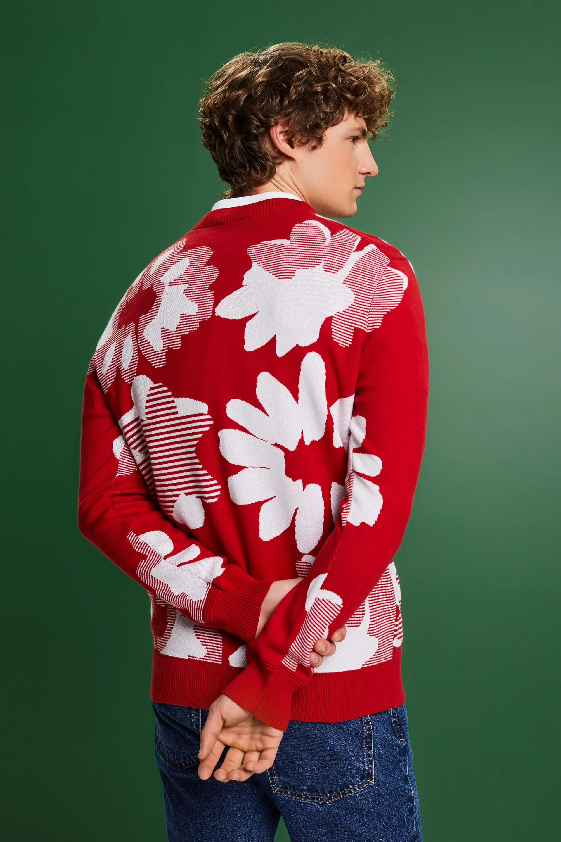 Pullover in cotone jacquard