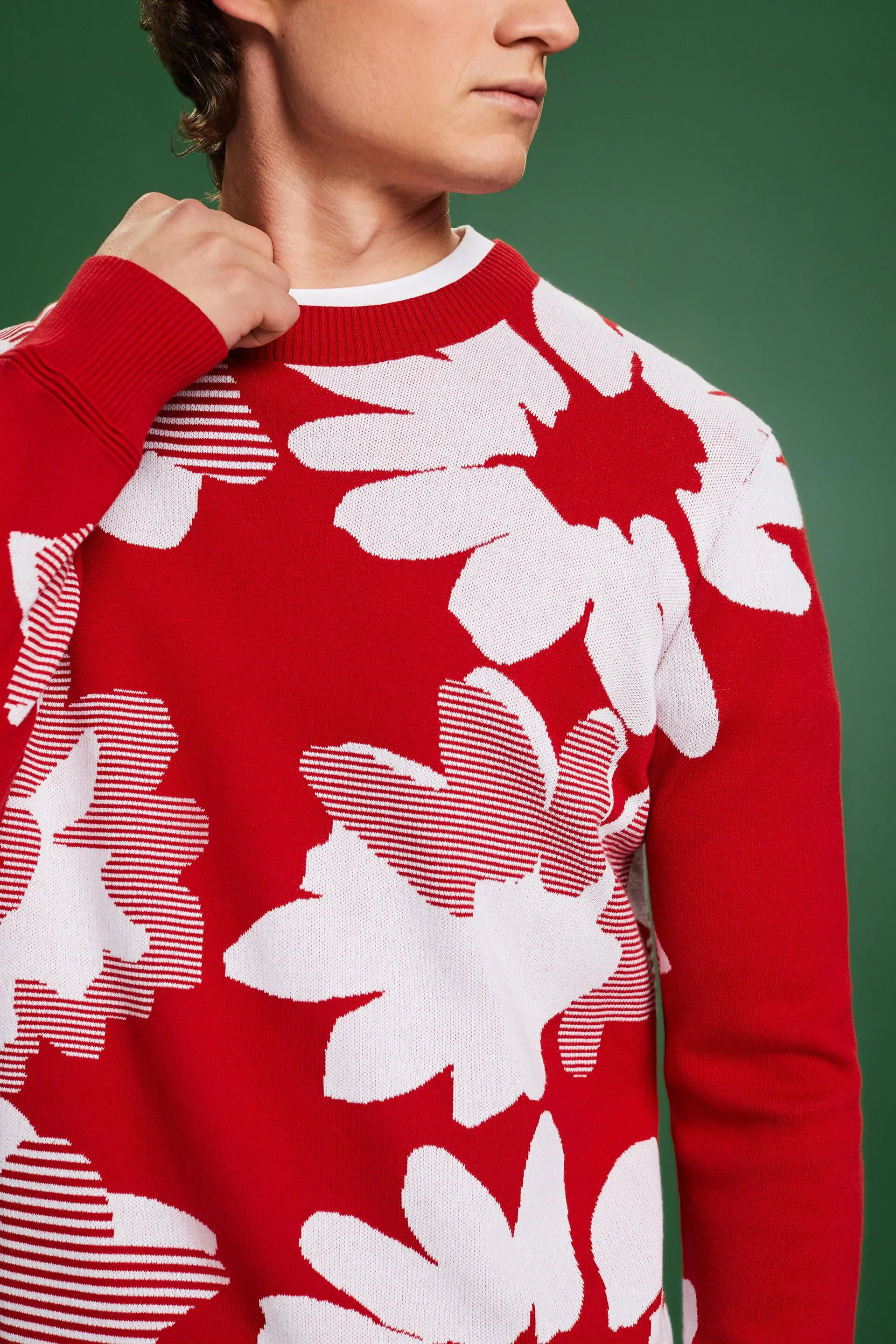 Pullover in cotone jacquard
