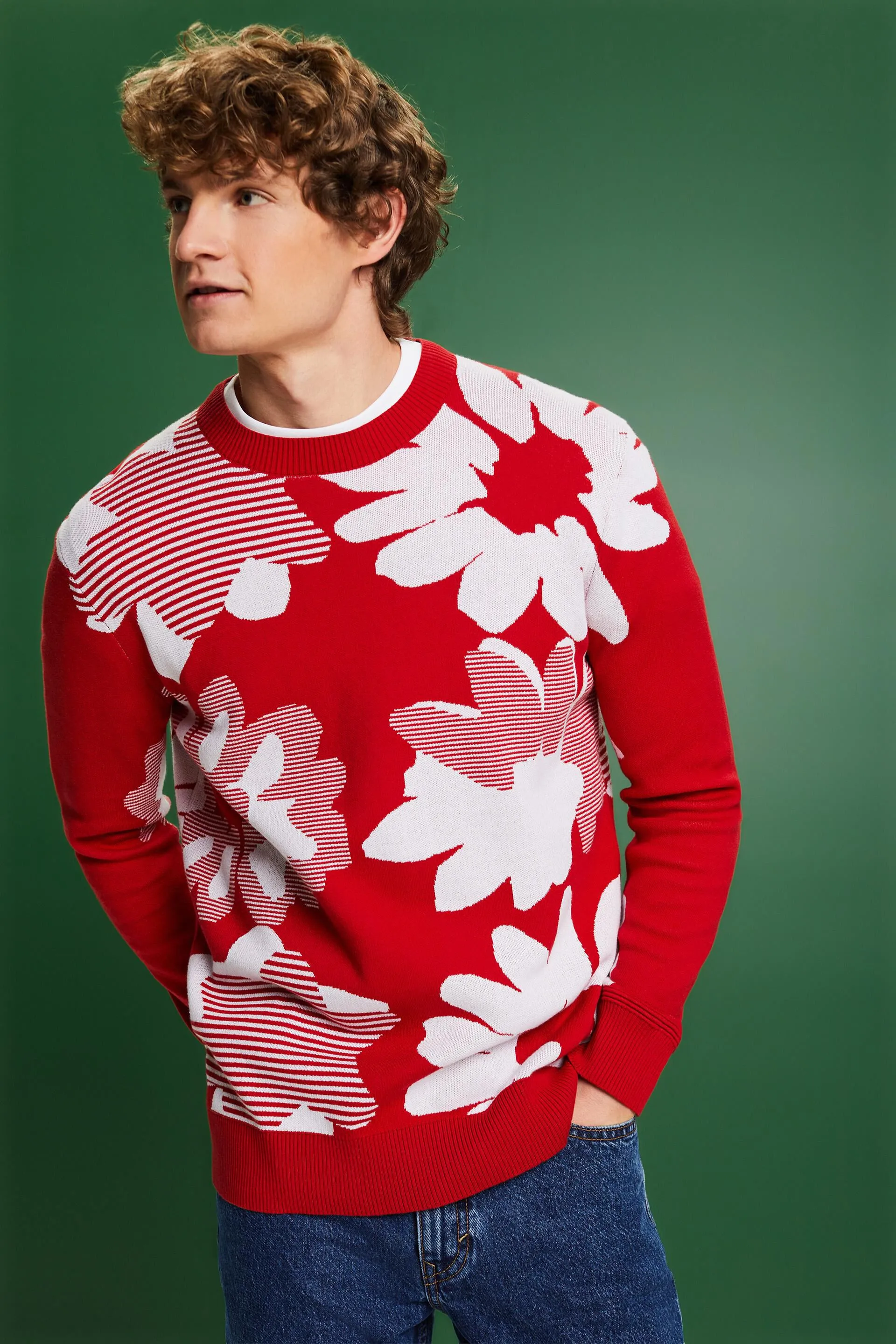 Pullover in cotone jacquard