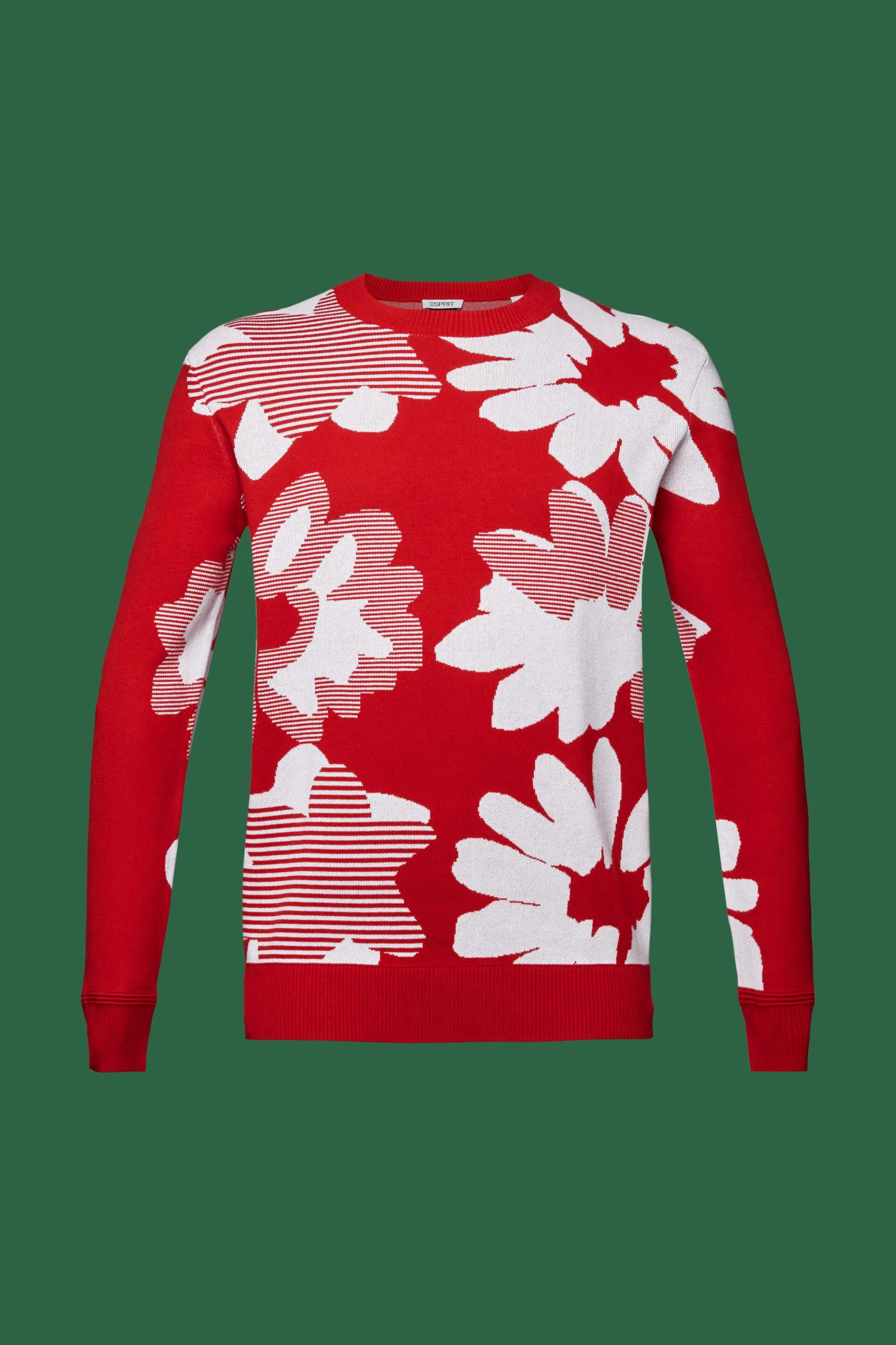Pullover in cotone jacquard